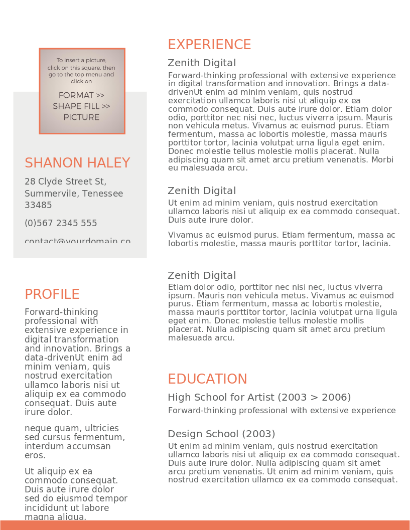 Shades of Orange CV – anteprima